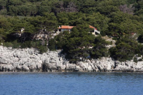 Apartments by the sea Cove Saplunara, Mljet - 4925